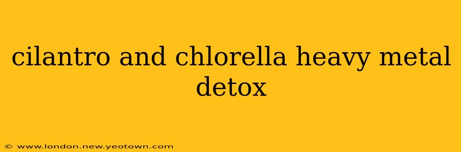cilantro and chlorella heavy metal detox