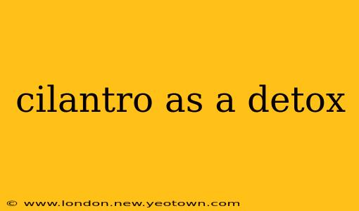 cilantro as a detox