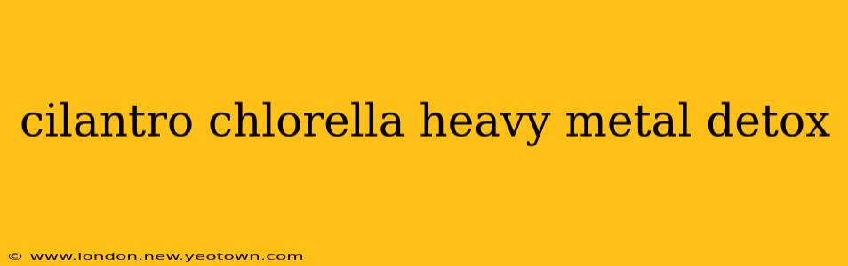cilantro chlorella heavy metal detox