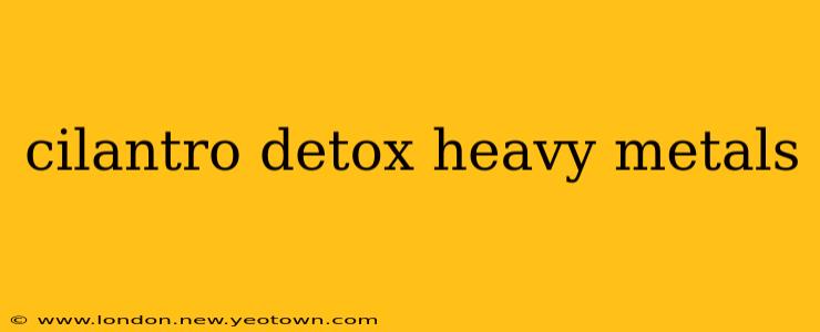 cilantro detox heavy metals