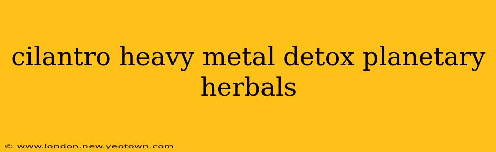 cilantro heavy metal detox planetary herbals