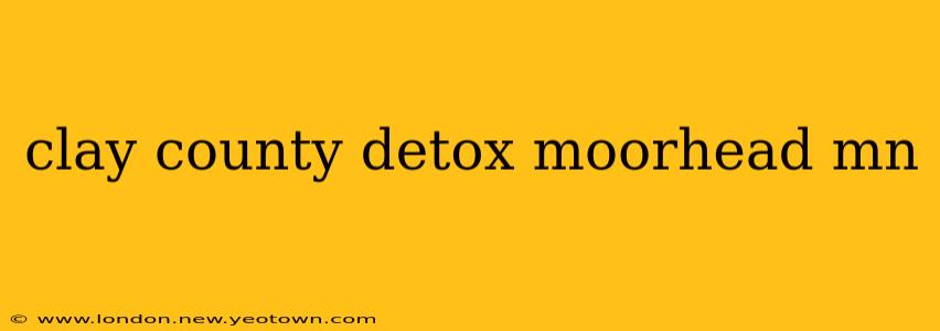 clay county detox moorhead mn
