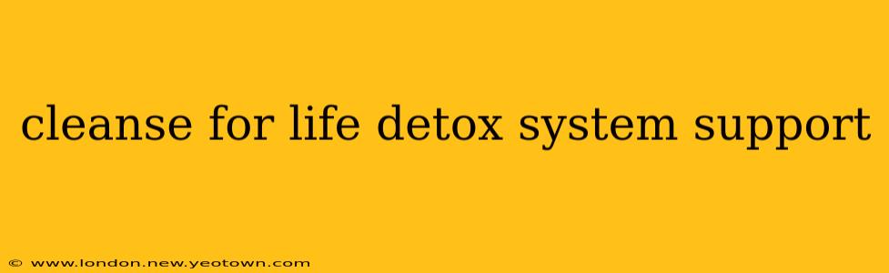 cleanse for life detox system support