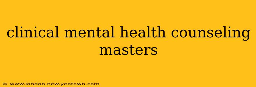 clinical mental health counseling masters