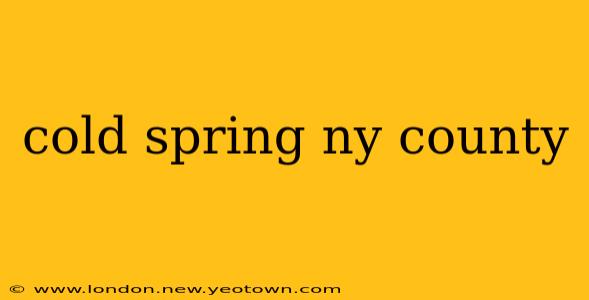 cold spring ny county