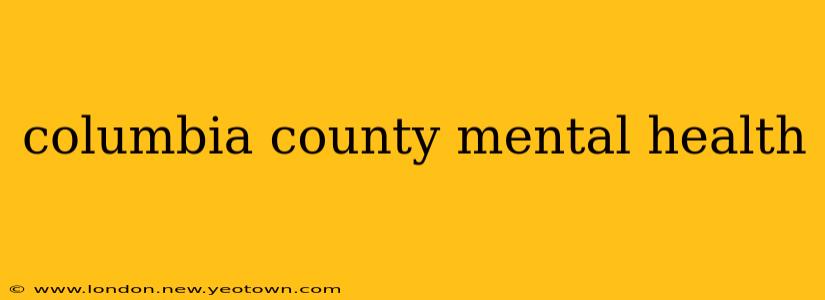 columbia county mental health