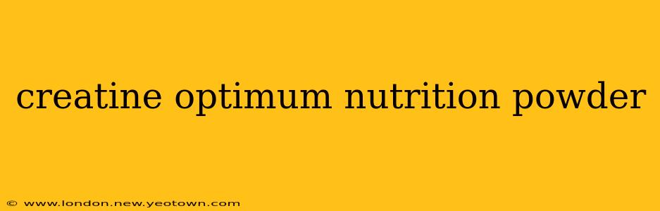 creatine optimum nutrition powder