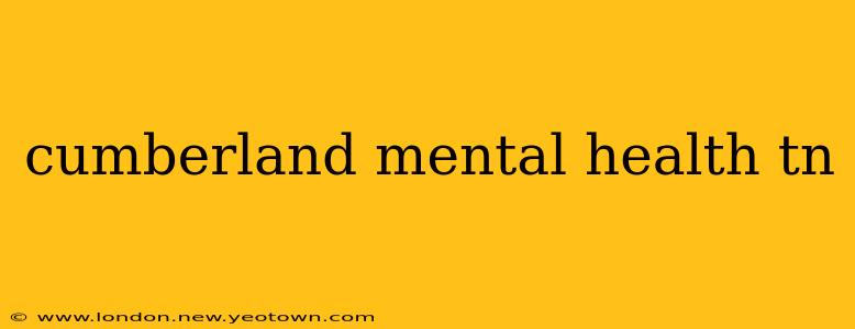 cumberland mental health tn