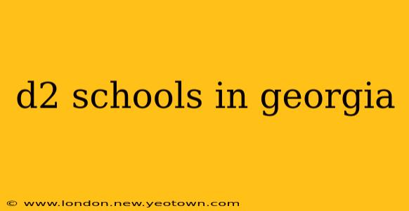 d2 schools in georgia