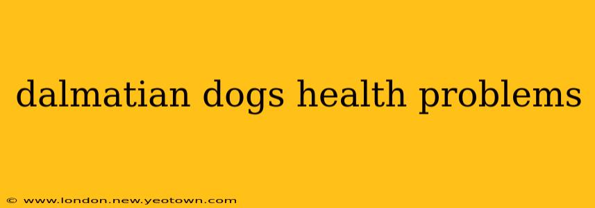 dalmatian dogs health problems
