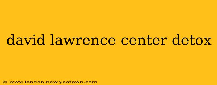 david lawrence center detox