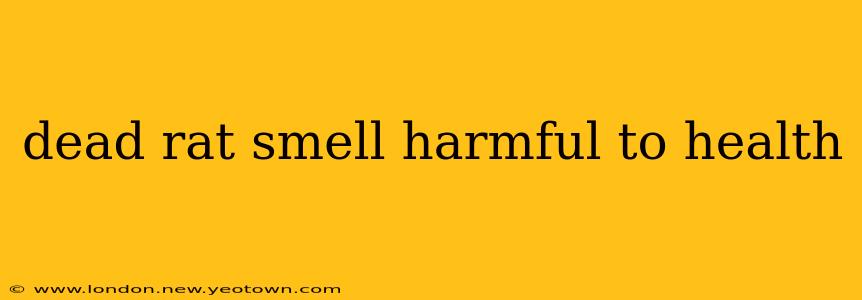 dead rat smell harmful to health