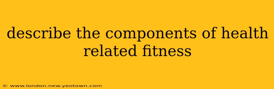 describe the components of health related fitness