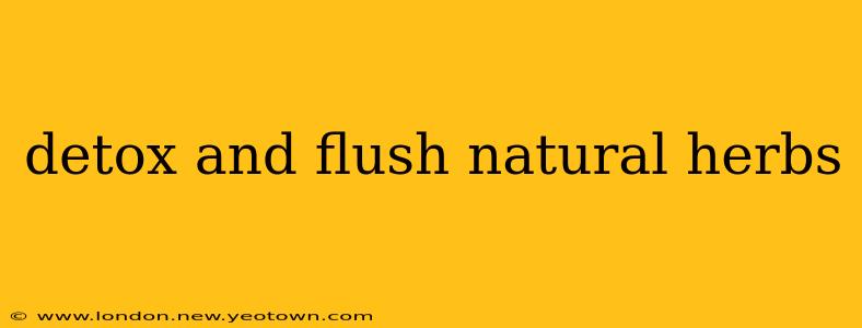 detox and flush natural herbs