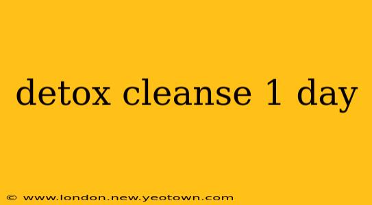 detox cleanse 1 day