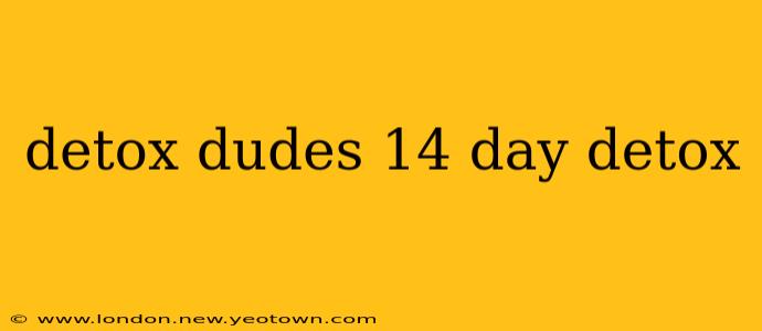 detox dudes 14 day detox