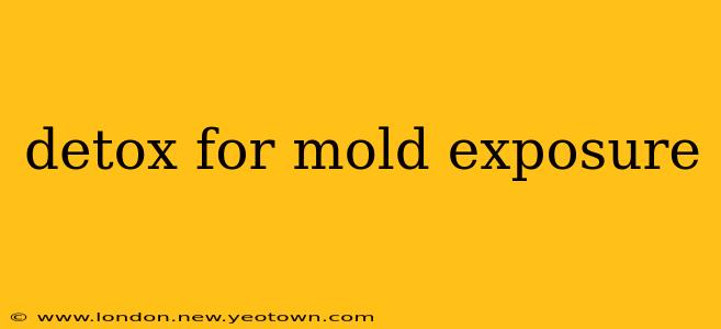 detox for mold exposure