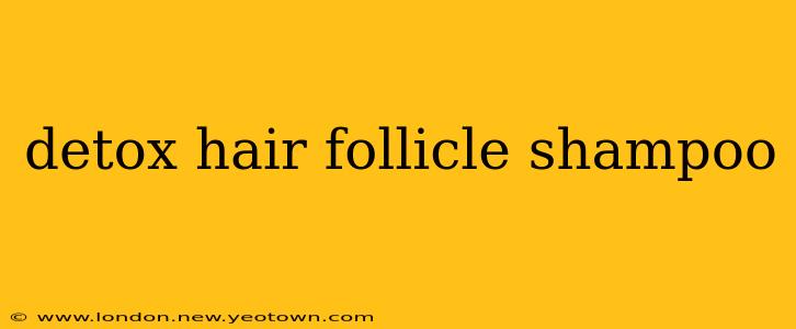 detox hair follicle shampoo