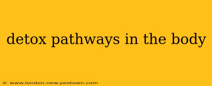 detox pathways in the body