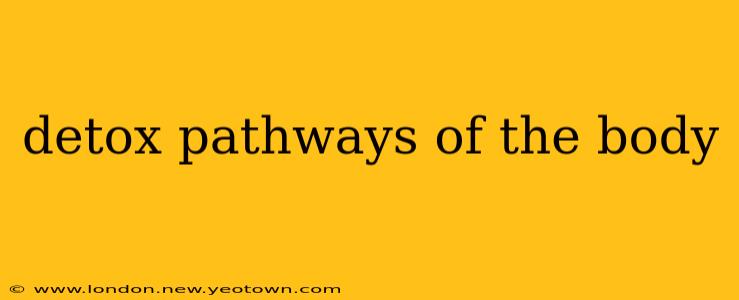 detox pathways of the body