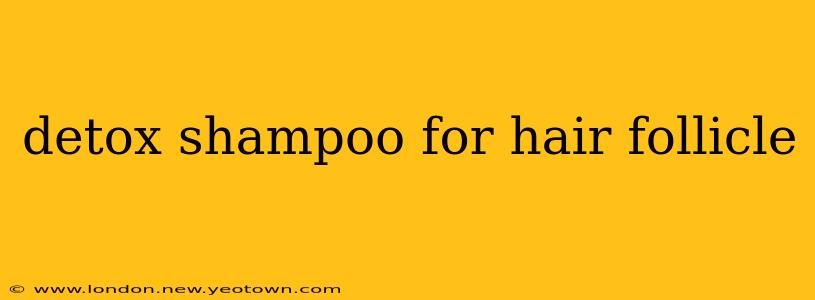 detox shampoo for hair follicle