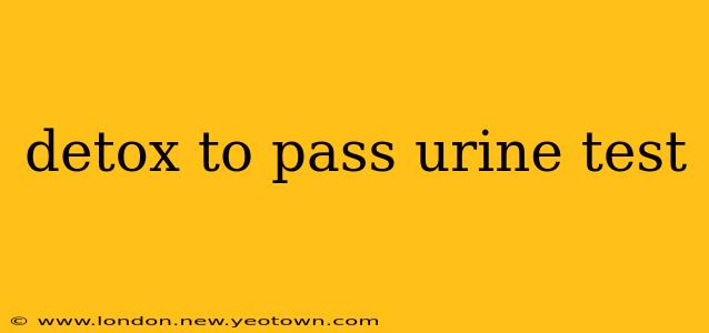 detox to pass urine test