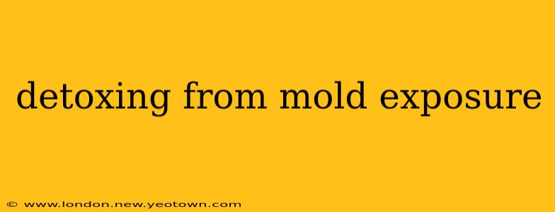 detoxing from mold exposure