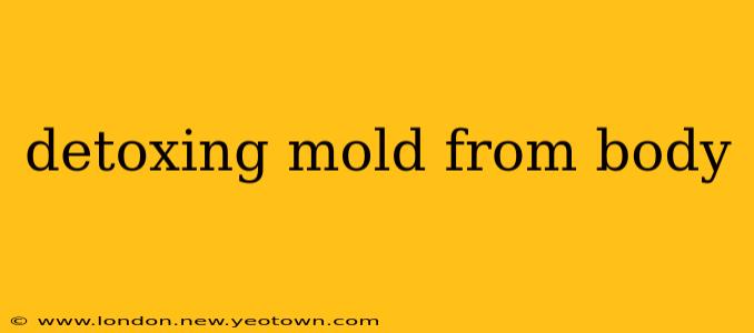 detoxing mold from body