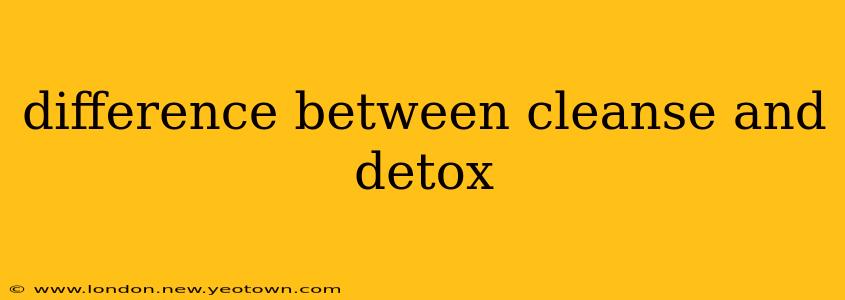 difference between cleanse and detox