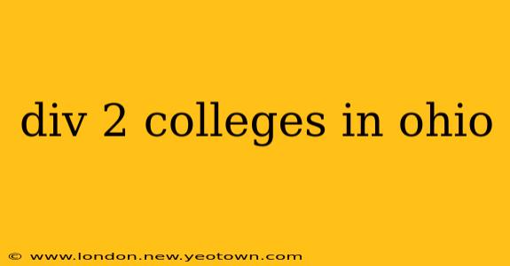 div 2 colleges in ohio