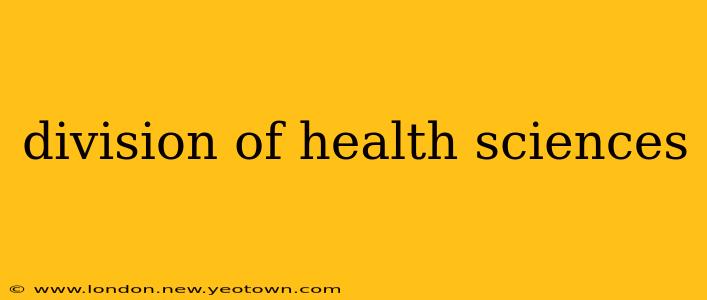 division of health sciences