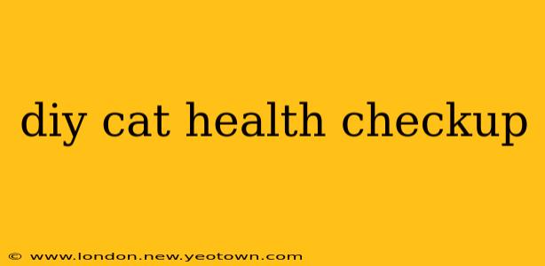 diy cat health checkup