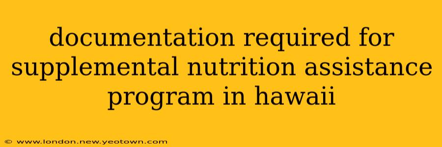 documentation required for supplemental nutrition assistance program in hawaii