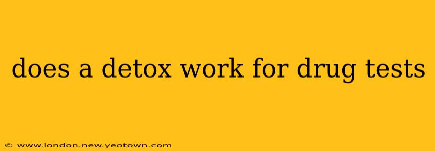 does a detox work for drug tests