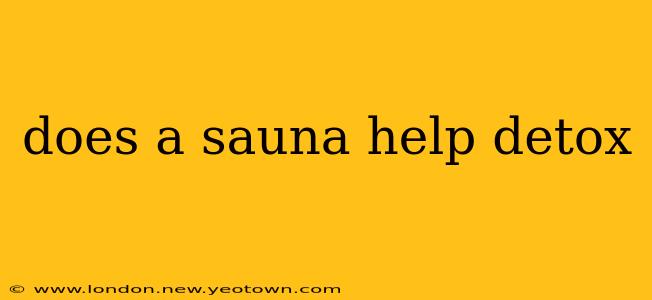 does a sauna help detox