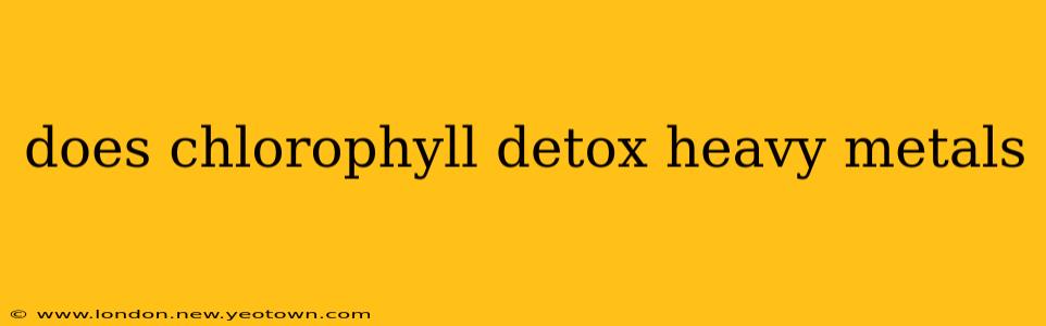 does chlorophyll detox heavy metals