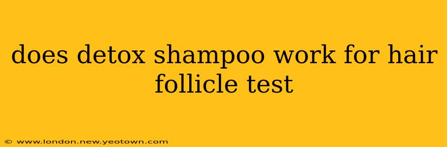 does detox shampoo work for hair follicle test