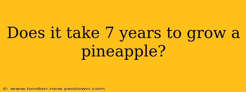 Does it take 7 years to grow a pineapple?