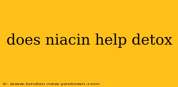 does niacin help detox
