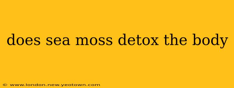 does sea moss detox the body