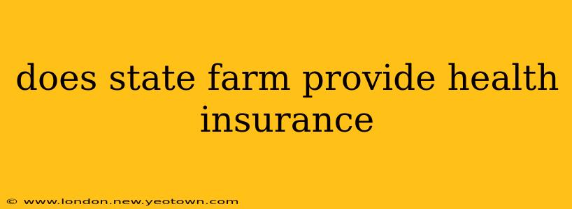 does state farm provide health insurance