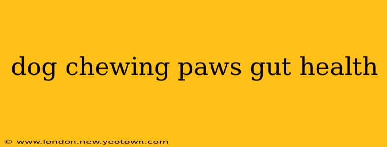 dog chewing paws gut health