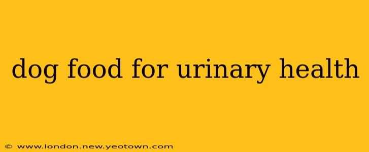 dog food for urinary health