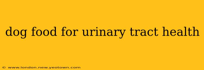 dog food for urinary tract health