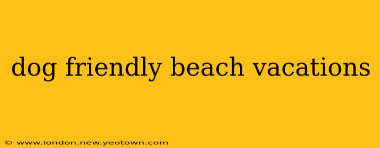 dog friendly beach vacations