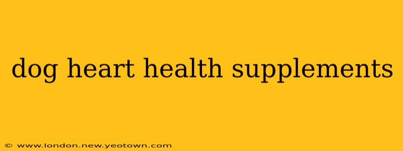dog heart health supplements