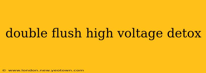 double flush high voltage detox