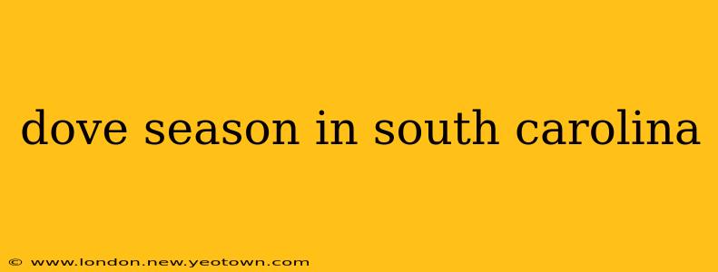 dove season in south carolina