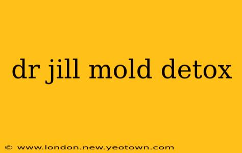 dr jill mold detox