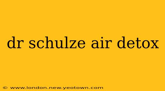 dr schulze air detox